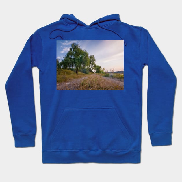 willow near country road Hoodie by psychoshadow